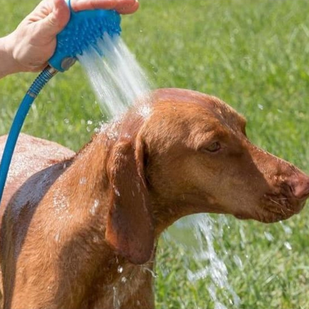 Pamper Your Pooch with Silicone Pet Bathing Gloves